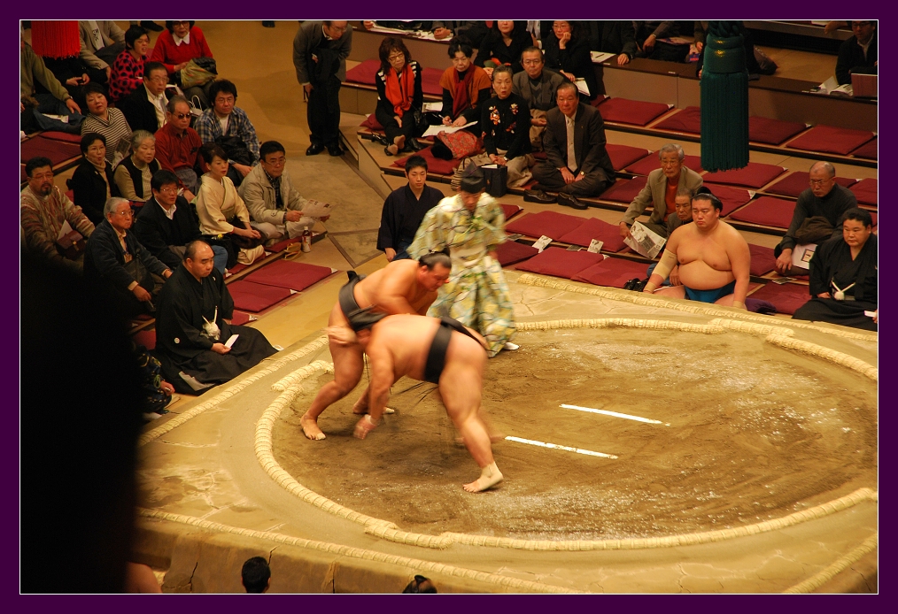 Sumo4.jpg