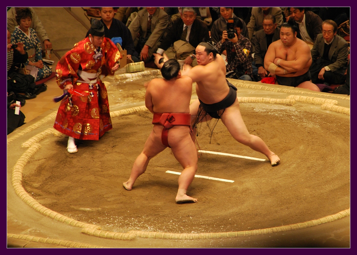 Sumo11.jpg
