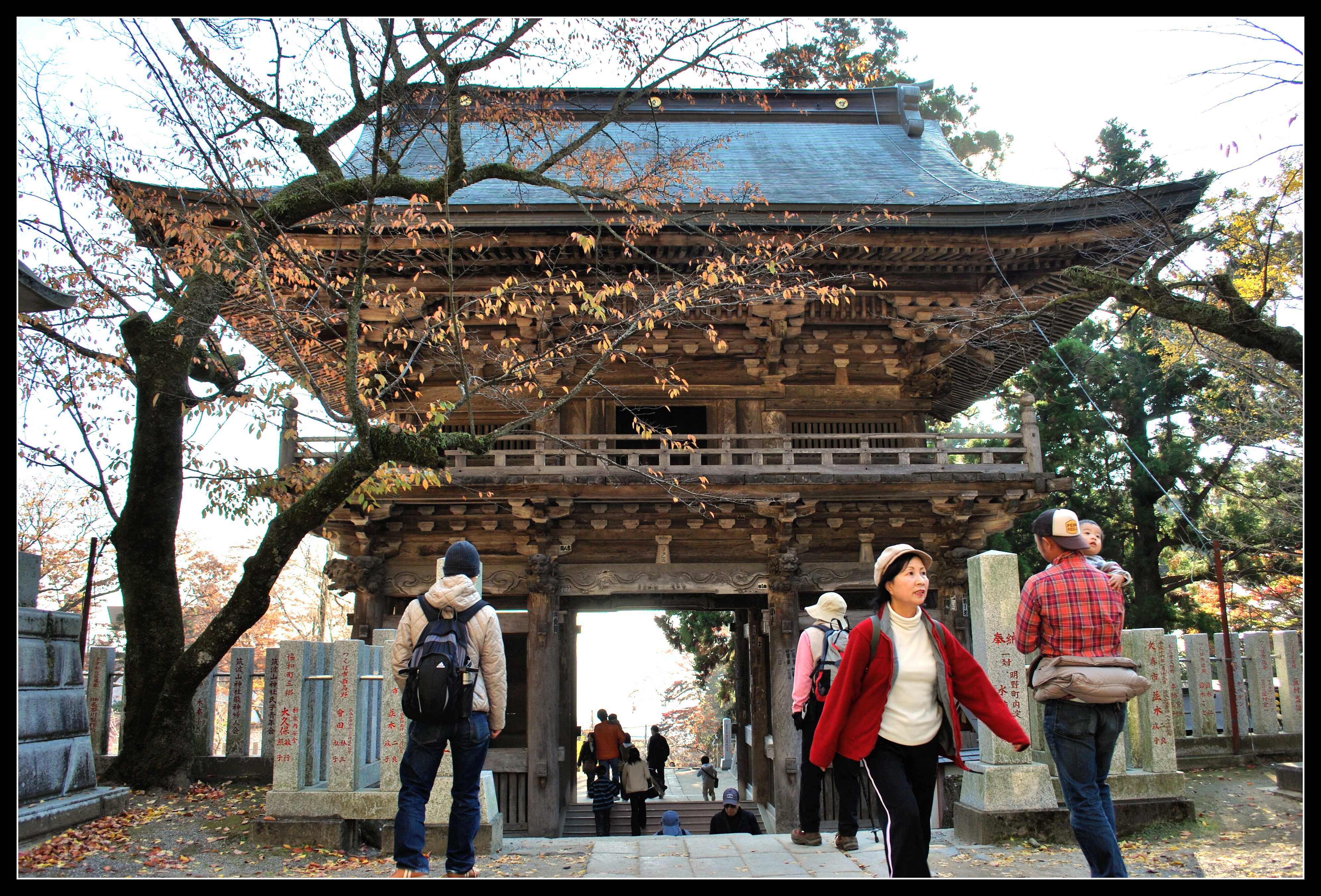 wooden gate.jpg