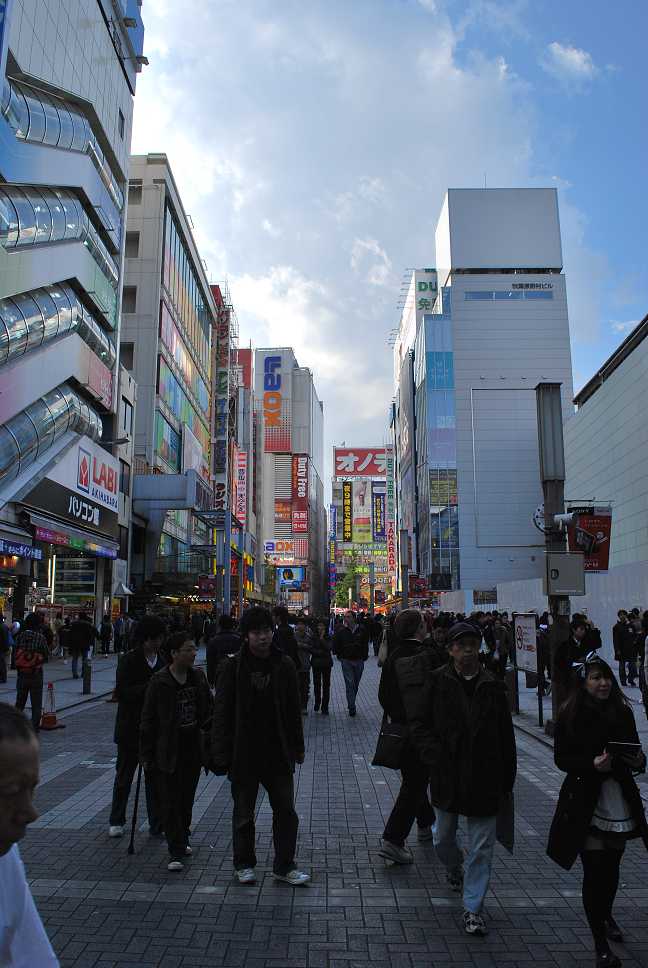 tokyo - akihabara.jpg