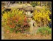 Himeji garden 9.jpg