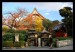 Tokyo shrine.jpg